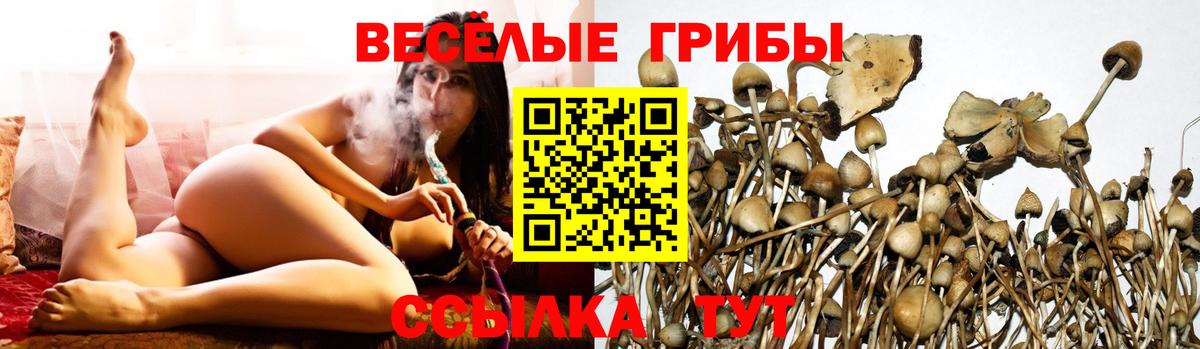Псилоцибиновые грибы ЛСД Отрадный